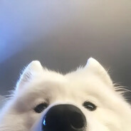 Друг_твоих_подруг