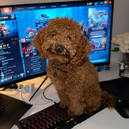 КАК Я ЭТО ЖДУ СУКА