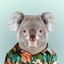 Molester Koala