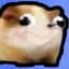dimonchik_