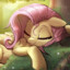 ★Fluttershy★