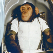 Albert II the Space Monke - steam id 76561198366441040