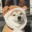 拾壹