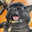 Slimelord Beamdog