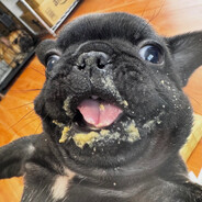 Slimelord Beamdog