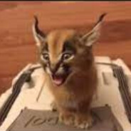 Маленький Шлёпа