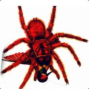 SpiderByte
