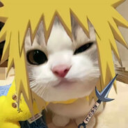 波风水门【小猫转生】