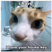 AAA建材批发段哥