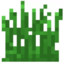 liu_bili_Grass