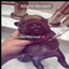 Clean My Bellay's avatar