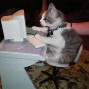 AA没有名字因为没有脑子