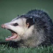 Ghost - steam id 76561197969716468