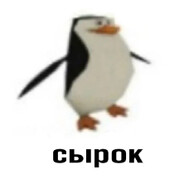 Tepi