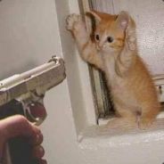 notmatsu - steam id 76561197961181606