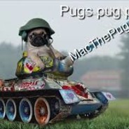 pug