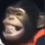 SpaceChimp