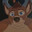 Doc Holliday avatar