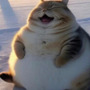 你怎么知道我喜欢睡觉?