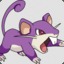 Rattata