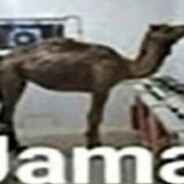 Jamal228ProKiller - steam id 76561198813591532