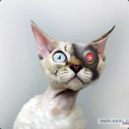 Ntguilty - steam id 76561197972932664