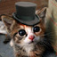 Mr.Cat