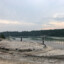 海岛王