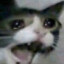 TrapitoKawaiiiuwu