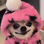 ArmatAce - steam id 76561199249577199