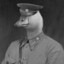 Goose