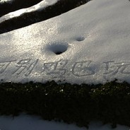 水产路狙王张胖子