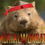 mortal wombat