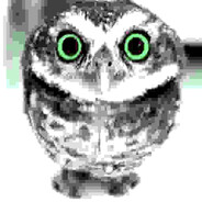 Yer