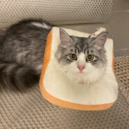 白给小子爱中出