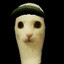 papaleta
