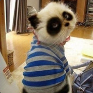 我的狗叫布洛特亨德尔, 你狗叫什么