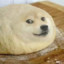 bread doge