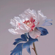 风中有朵雨做的云