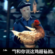 哪个没母的盗我号