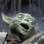 Yoda
