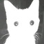 [EDL] ify
