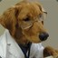 Dr. Pupper
