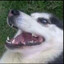 [DRM]Edgar