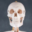 John Riggity Bones