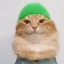 smurf cat