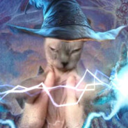 Fucking evil wizard cat