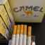 Yellow Camel