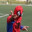 Verme
