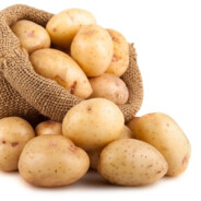potato XXL